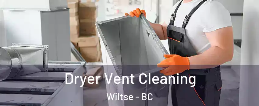  Dryer Vent Cleaning Wiltse - BC