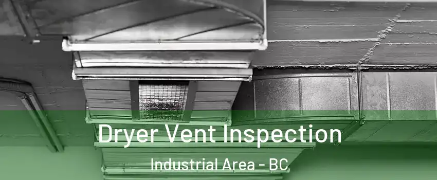  Dryer Vent Inspection Industrial Area - BC