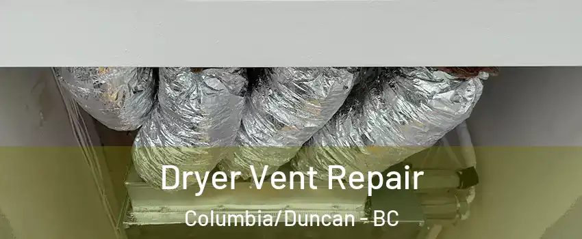  Dryer Vent Repair Columbia/Duncan - BC