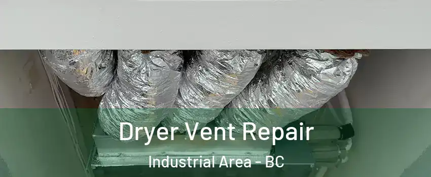  Dryer Vent Repair Industrial Area - BC