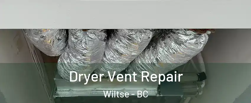  Dryer Vent Repair Wiltse - BC