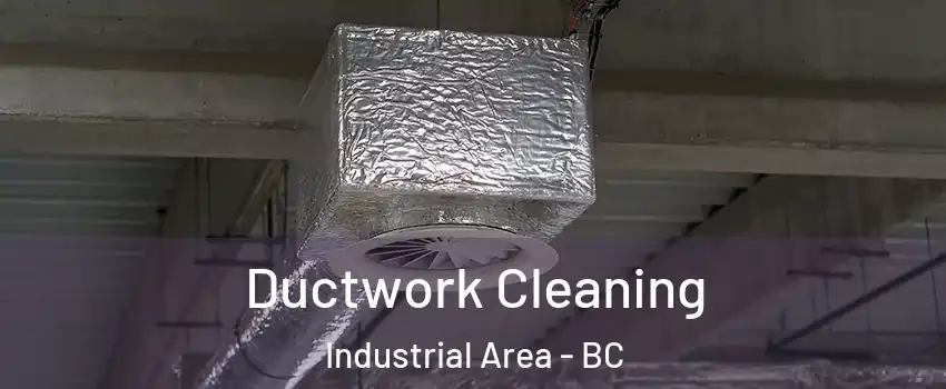  Ductwork Cleaning Industrial Area - BC