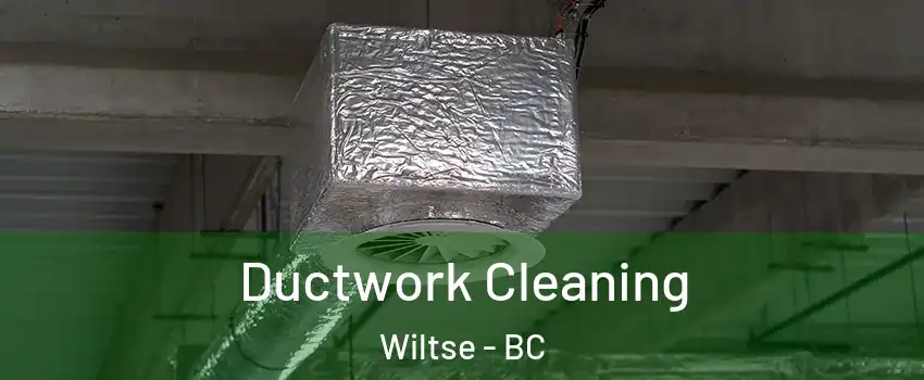  Ductwork Cleaning Wiltse - BC