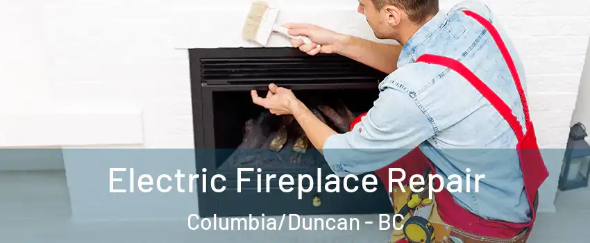  Electric Fireplace Repair Columbia/Duncan - BC