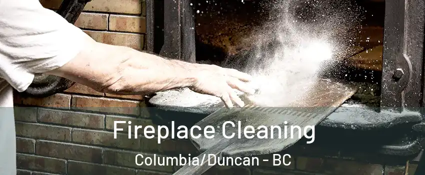  Fireplace Cleaning Columbia/Duncan - BC