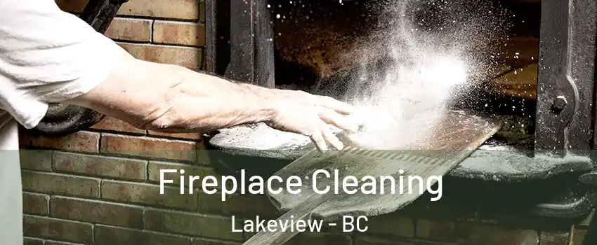  Fireplace Cleaning Lakeview - BC