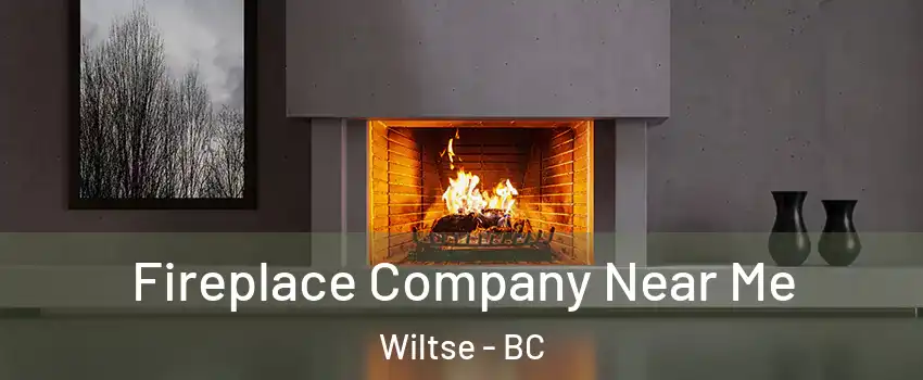  Fireplace Company Near Me Wiltse - BC