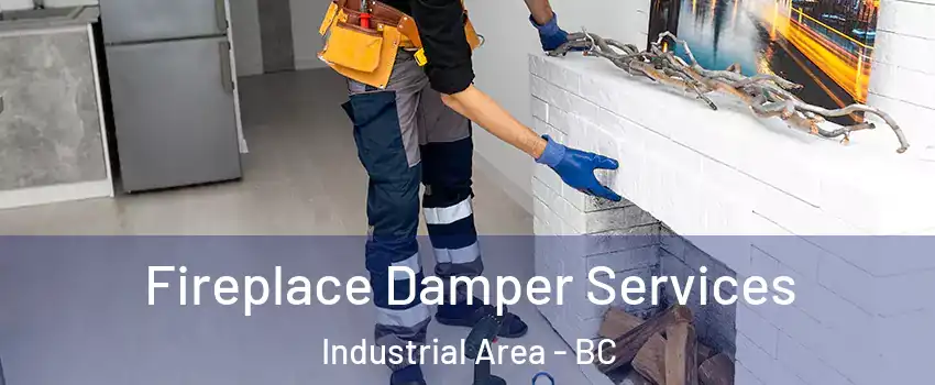  Fireplace Damper Services Industrial Area - BC