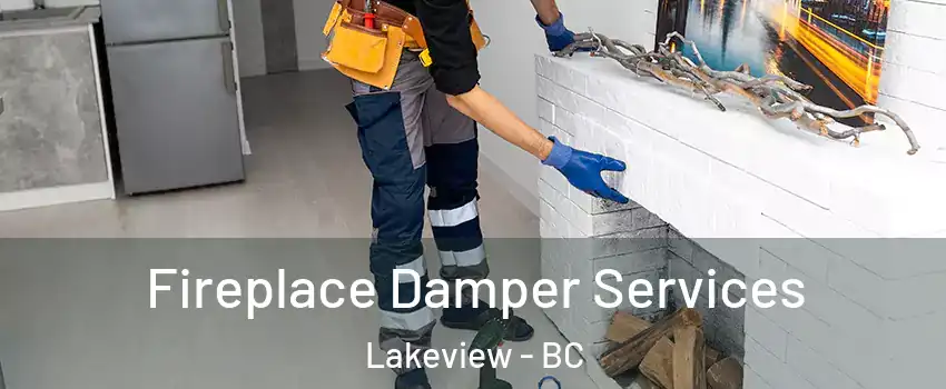  Fireplace Damper Services Lakeview - BC