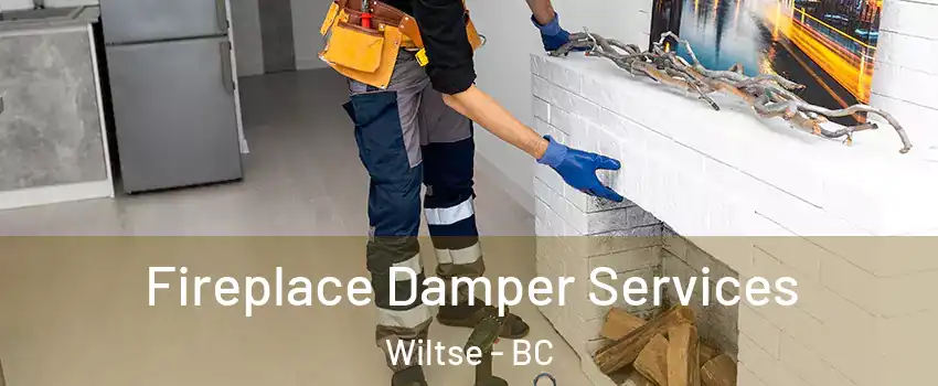  Fireplace Damper Services Wiltse - BC