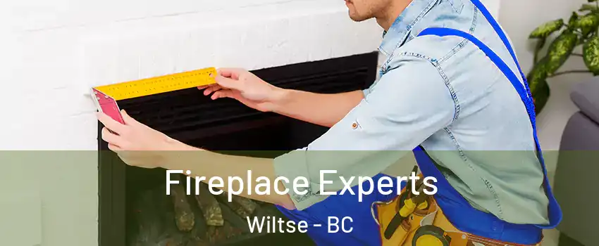  Fireplace Experts Wiltse - BC