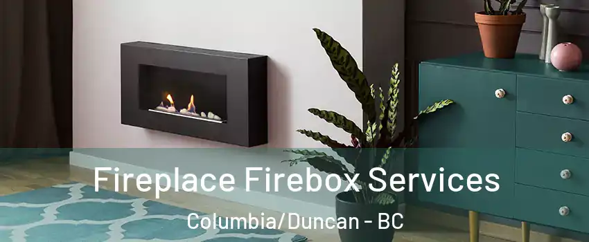  Fireplace Firebox Services Columbia/Duncan - BC