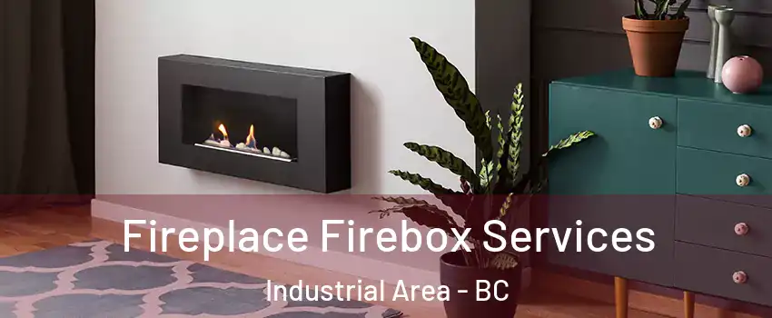 Fireplace Firebox Services Industrial Area - BC