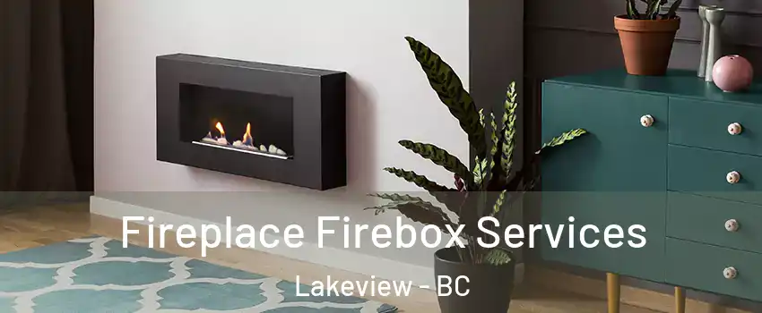  Fireplace Firebox Services Lakeview - BC