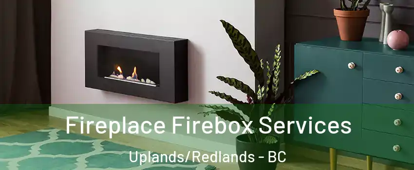  Fireplace Firebox Services Uplands/Redlands - BC