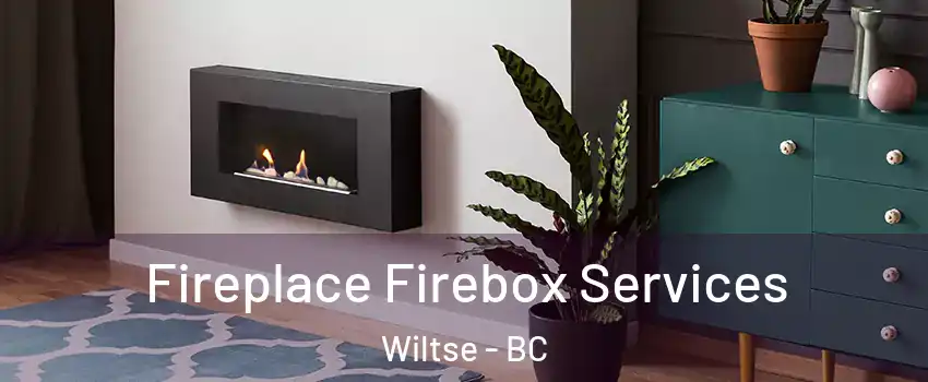  Fireplace Firebox Services Wiltse - BC