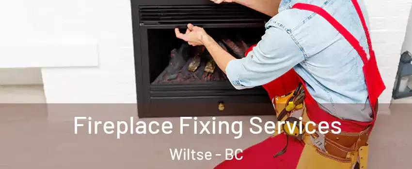  Fireplace Fixing Services Wiltse - BC