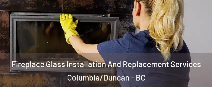  Fireplace Glass Installation And Replacement Services Columbia/Duncan - BC