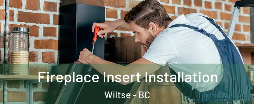  Fireplace Insert Installation Wiltse - BC
