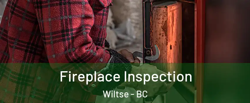  Fireplace Inspection Wiltse - BC