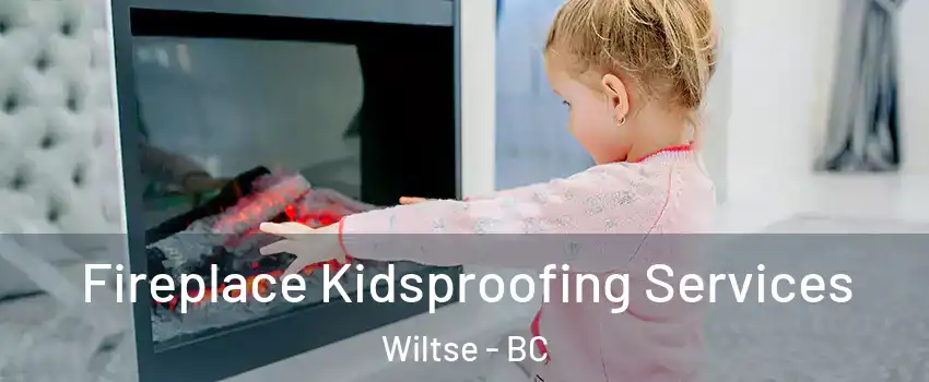  Fireplace Kidsproofing Services Wiltse - BC