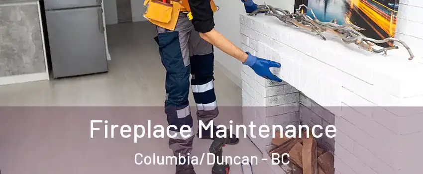  Fireplace Maintenance Columbia/Duncan - BC