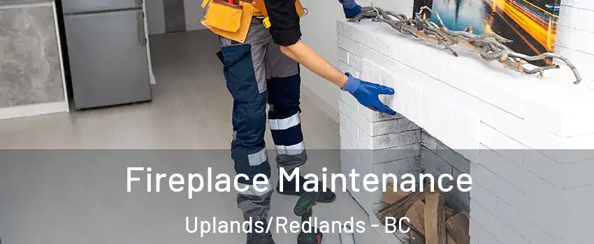  Fireplace Maintenance Uplands/Redlands - BC