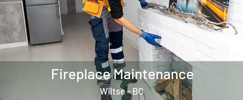  Fireplace Maintenance Wiltse - BC