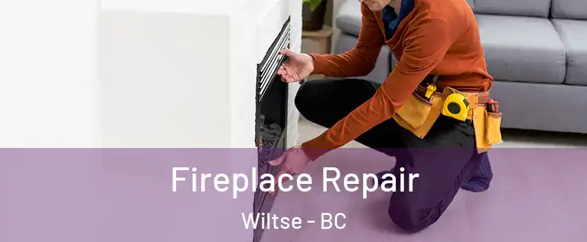  Fireplace Repair Wiltse - BC