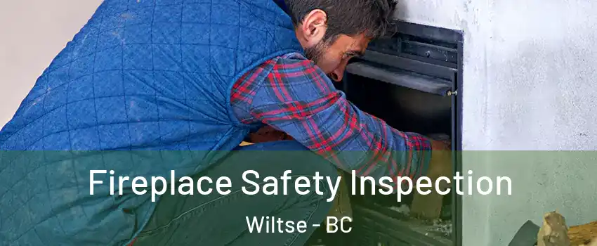  Fireplace Safety Inspection Wiltse - BC