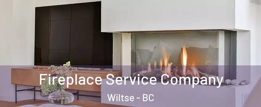  Fireplace Service Company Wiltse - BC