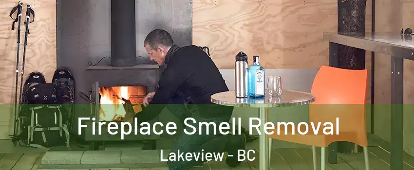  Fireplace Smell Removal Lakeview - BC