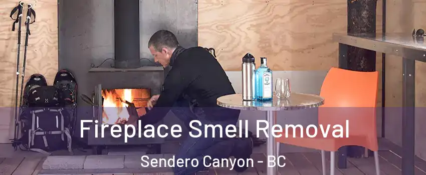  Fireplace Smell Removal Sendero Canyon - BC