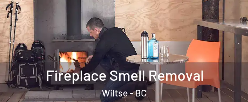  Fireplace Smell Removal Wiltse - BC