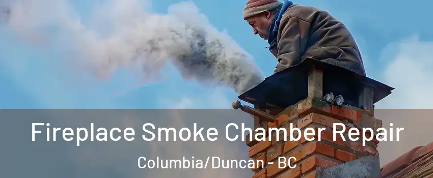  Fireplace Smoke Chamber Repair Columbia/Duncan - BC