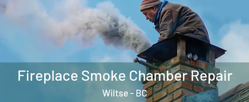  Fireplace Smoke Chamber Repair Wiltse - BC