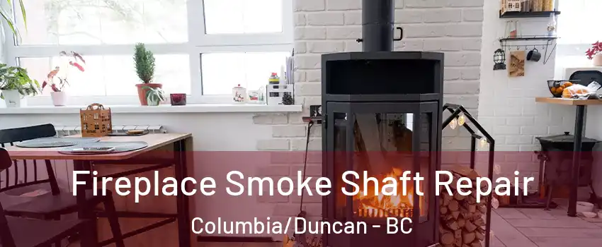  Fireplace Smoke Shaft Repair Columbia/Duncan - BC