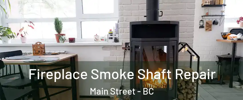  Fireplace Smoke Shaft Repair Main Street - BC