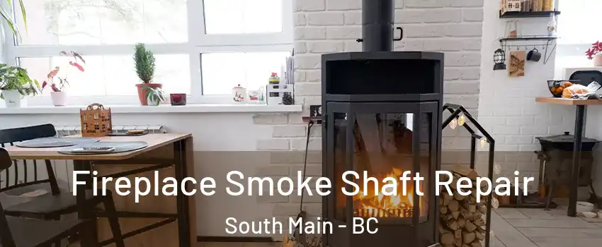  Fireplace Smoke Shaft Repair South Main - BC