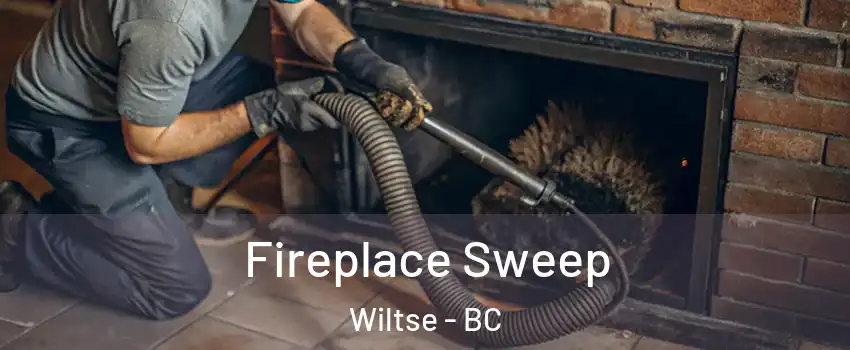  Fireplace Sweep Wiltse - BC