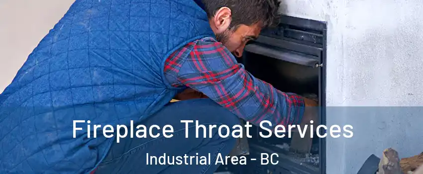  Fireplace Throat Services Industrial Area - BC