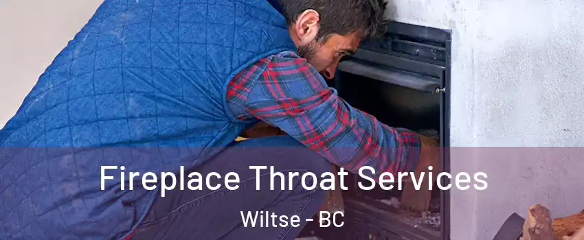  Fireplace Throat Services Wiltse - BC