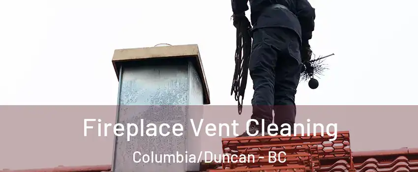 Fireplace Vent Cleaning Columbia/Duncan - BC