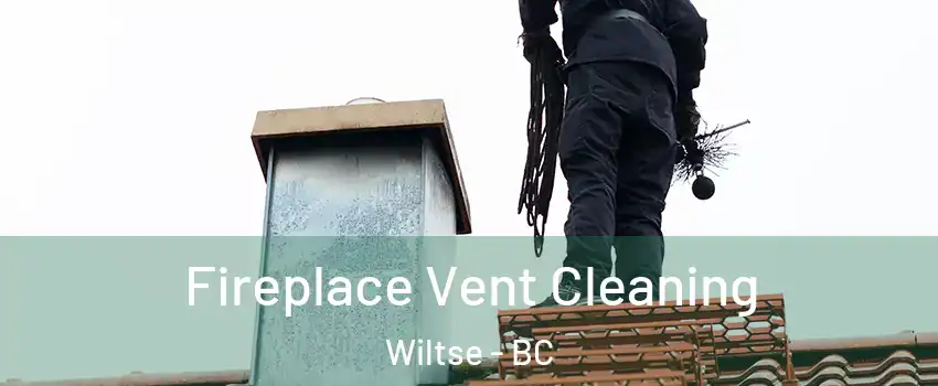  Fireplace Vent Cleaning Wiltse - BC
