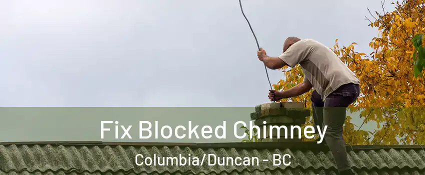  Fix Blocked Chimney Columbia/Duncan - BC