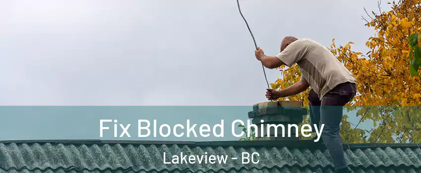  Fix Blocked Chimney Lakeview - BC
