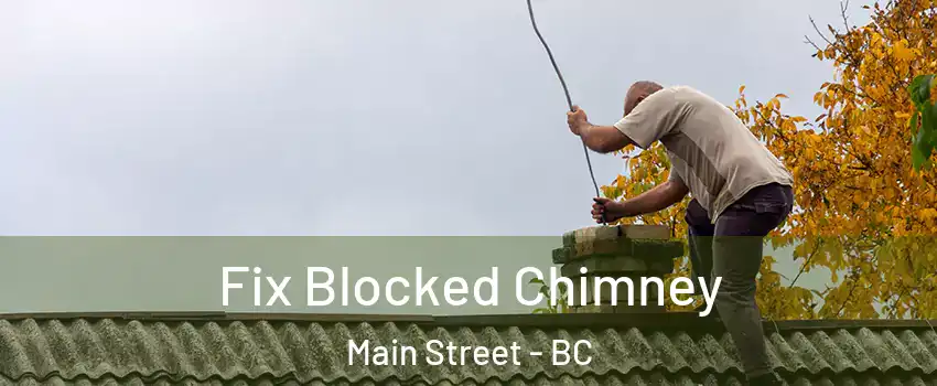  Fix Blocked Chimney Main Street - BC