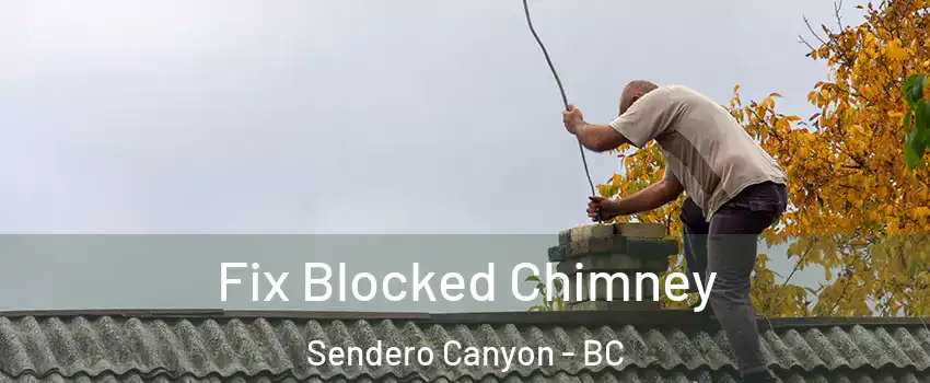  Fix Blocked Chimney Sendero Canyon - BC