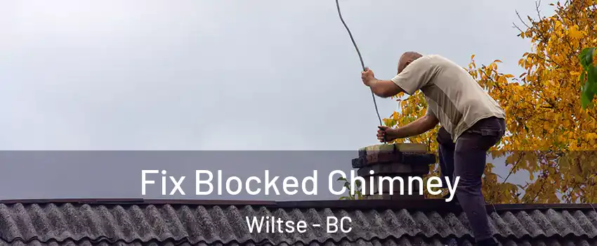  Fix Blocked Chimney Wiltse - BC