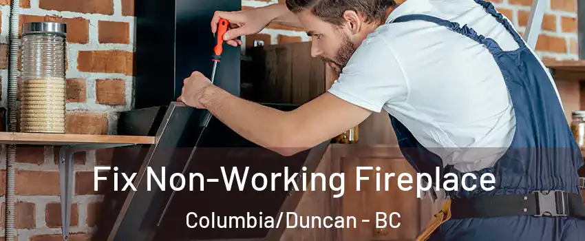  Fix Non-Working Fireplace Columbia/Duncan - BC